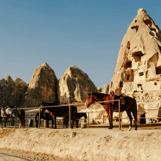 Cappadocia Horseback Riding